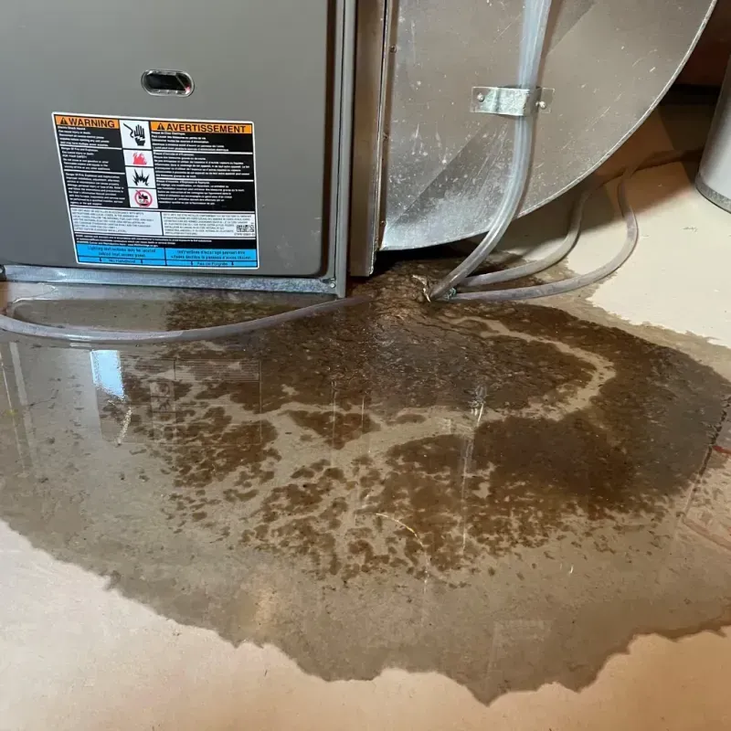 Appliance Leak Cleanup in Sidney, IL